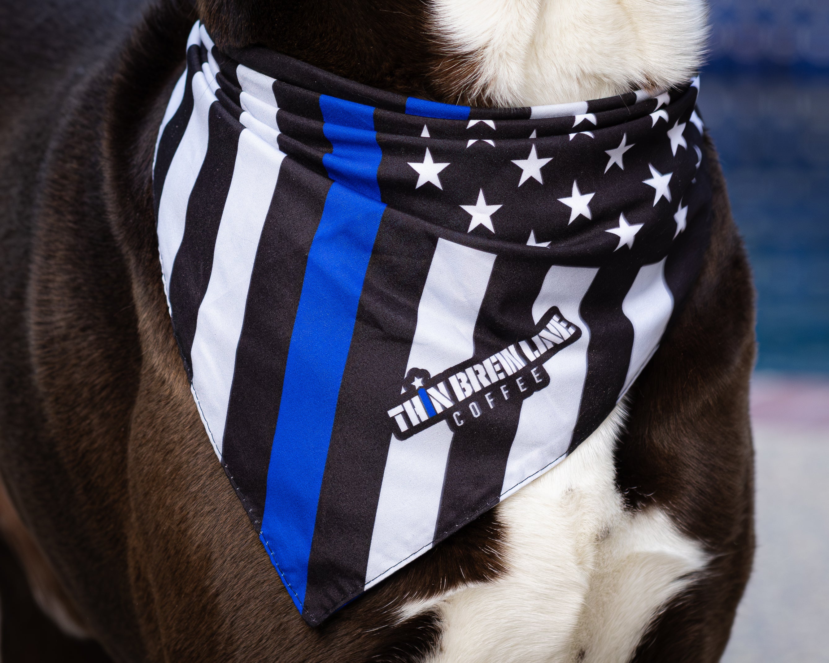 Pet Bandana