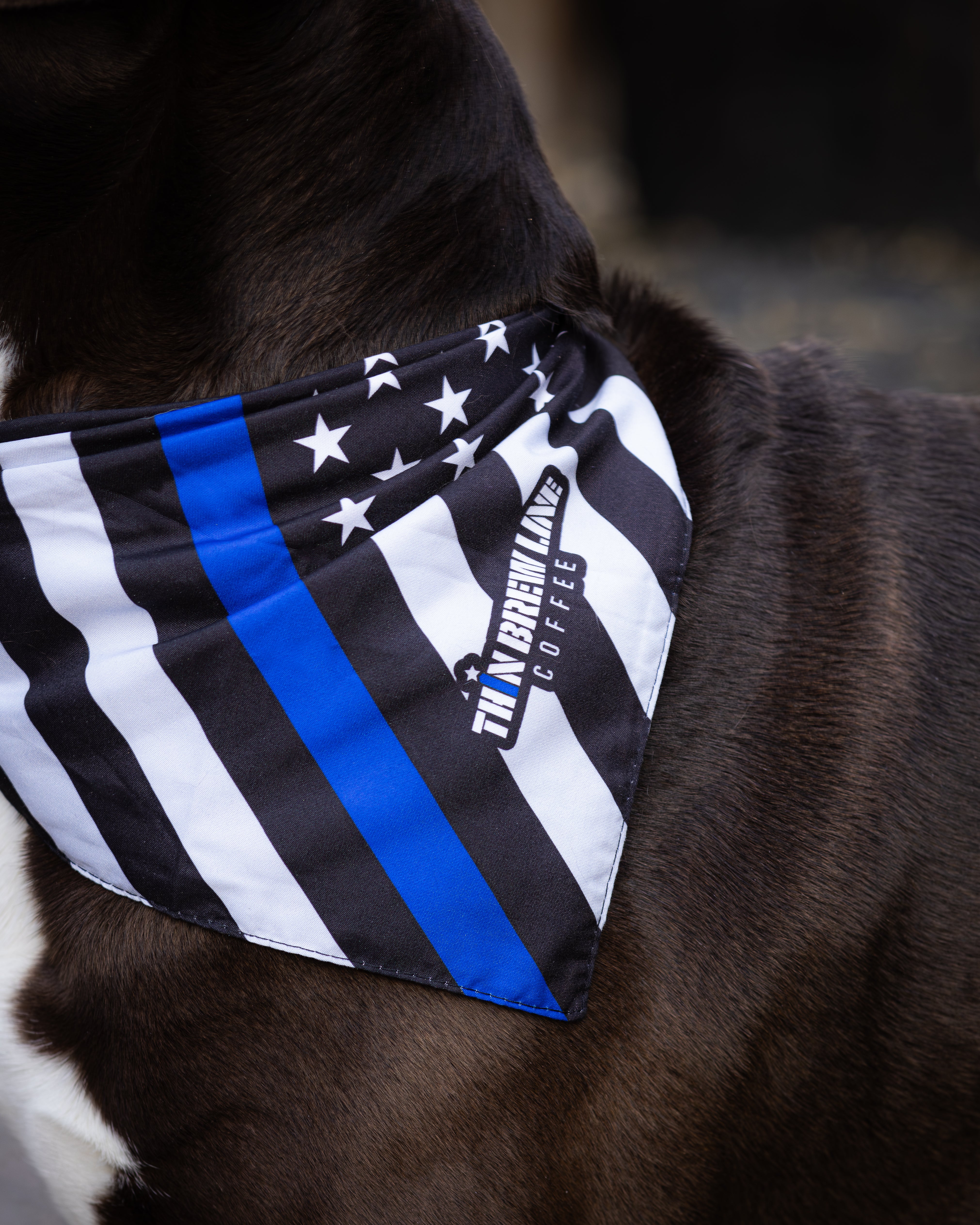 Pet Bandana